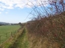 ouest de Magny en Vexin, GR11
